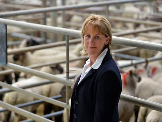 Minette Batters, president of the National Farmers' Union. Picture by Bruce Rollinson.