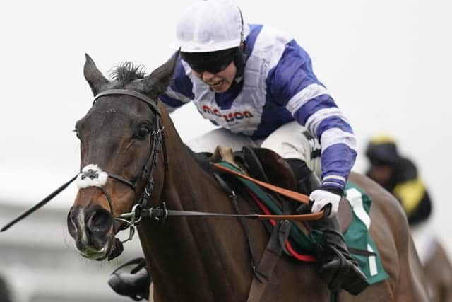 Bryony Frost is now one of racing's highest-profile riders thanks to her exploits on horses like Frodon who won Cheltenham's Ryanair Chase last month.