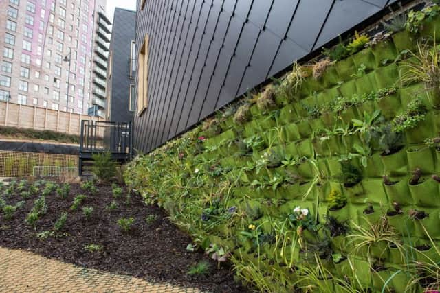 The car-free site will have plenty of greenery, including edible herbs and plants for residents to use.