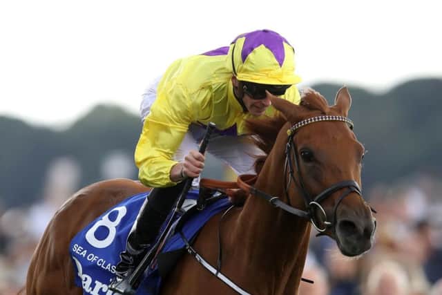 Trainer William Haggas is considering the Middleton Stakes at York as a potential comeback target for his star filly Sea Of Class. PIC: Tim Goode/PA Wire