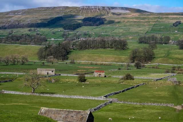 The new action plan has been devised by district councils and the Yorkshire Dales National Park Authority. Picture by James Hardisty.