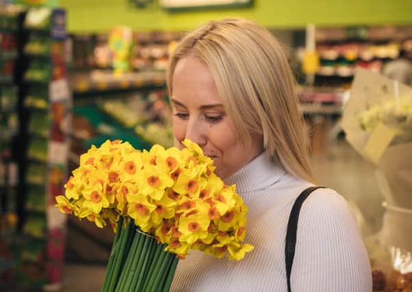 Morrisons brings back the sweet scent of daffodils for Mothers Day. Pic: Rachel Kennedy