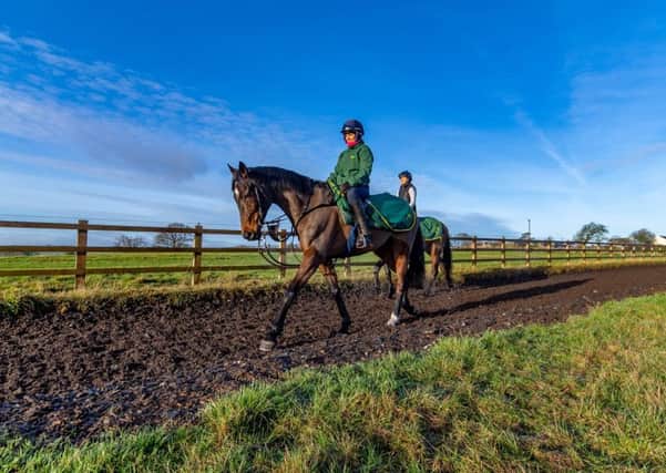 Lady Buttons on the gallops at Phil Kirby's yard under work rider Jennie Durrans - the filly is due to reappear at Aintree today.