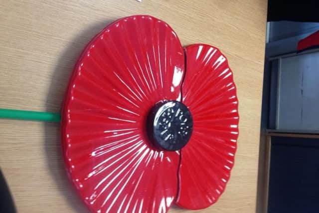 The poppy was snapped in half