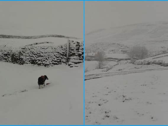 Snow has fallen in Yorkshire this week - were you affected? Photos: Swaledale Mountain Rescue