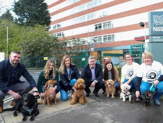 Staff at Nestle House in York whose dogs have been permission to come to work with them