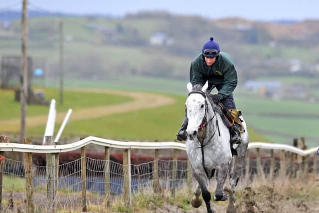 Yorkshire's Grand National contender Vintage Clouds powers up the gallops under big race jockey Danny Cook.