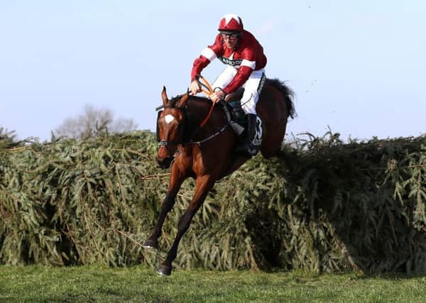 Davy Russell and Tiger Roll clear the last in the 2018 Grand National - today they bid to become the first dual winner of the world's greatest steeplechase since Red Rum.