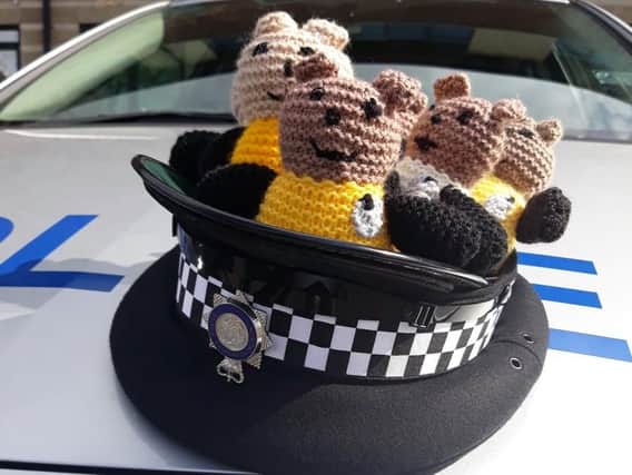 North Yorkshire Police are collecting knitted toys called 'Bobby Buddies' to take to distressing incidents that involve children. Picture: North Yorkshire Police