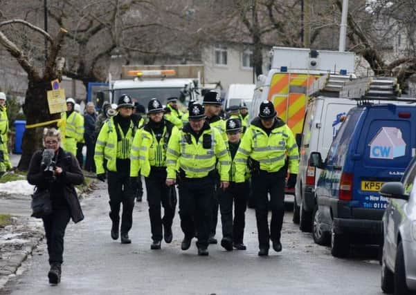 Dozens of police officers oversaw tree-felling operations in Sheffield in early 2018. Pic: Scott Merrylees