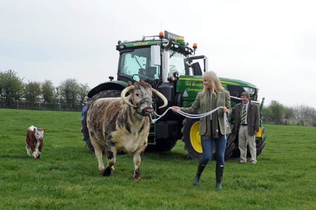 Charles Mills, show director at the Yorkshire Agricultural Society, watches on as sporting soprano Lizzie Jones poses with Longhorn on the Blockley family's farm in Drighlington, near Bradford, at the launch of the 161st Great Yorkshire Show. Picture by Tony Johnson.