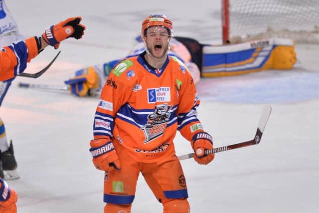 STICKING AROUND: Robert Dowd has signed a new, two-year deal with Sheffield Steelers. Picture: Dean Woolley