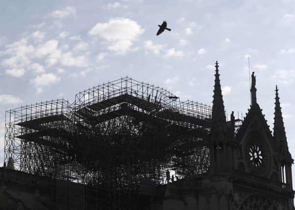 A pigeon flies over the fire-ravaged Notre-Dame cathedral in Paris as fears grow about the state of the Palace of Westminster.