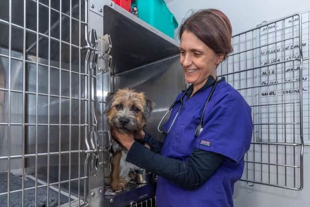 Vet Anne Norton - wife of The Yorkshire Vet TV star Julian Norton, at Rae, Bean & Partners Veterinary Surgery in Boroughbridge - pictured caring for Peggy.