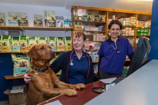 Vet Anne Norton - wife of The Yorkshire Vet TV star Julian Norton, at Rae, Bean & Partners Veterinary Surgery in Boroughbridge. Pictured Veterinary receptionist Sally Throup, and Quince with Vet Anne Norton.