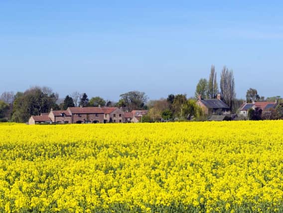 A field of rapeseed near Skirpenbeck, Yorkshire, as Britain is set for a sunny Easter bank holiday weekend, that could break national records.Photo: Press Association