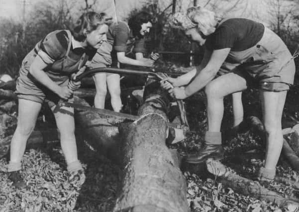 Lumberjills felling in Grantham Wood featured in Joanna Foat's new book. (Picture: Forestry Commission).