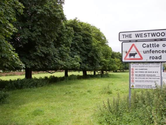 A woman was the victim of a serious sexual assault at Beverley Westwood on Thursday.