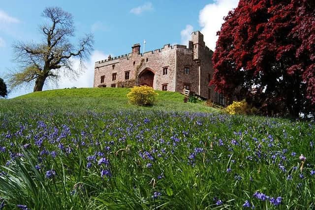 Bluebells bloom amid Muncaster Castle's "Gateway to Paradise"