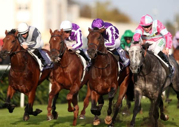 2000 Guineas favourite Magna Gregia (purple cap) won last year's Vertem Futurity Trophy at Doncaster for the father and son team of Aidan and Donnacha O'Brien.