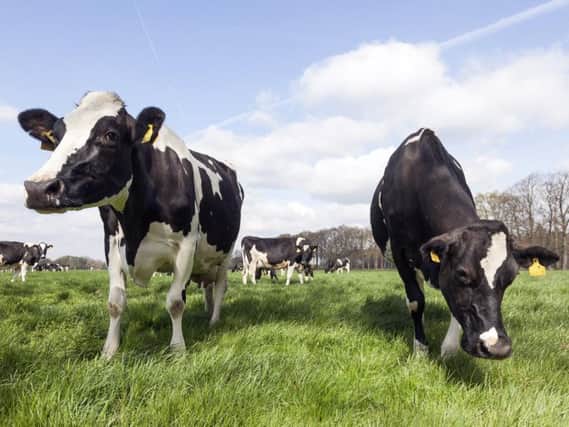 Rotational grazing of livestock is part of the solution to fighting climate change, said Farming Minister Robert Goodwill. Picture: Adobe Stock