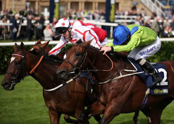 Chester Cup contender Austrian School (right) was narrowly denied by Just In Time in last year's Doncaster Cup.