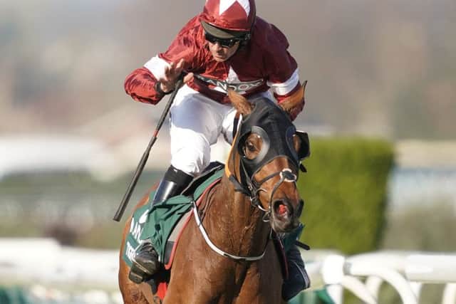 Mark Johnston's Austrian School is a half brother to dual Grand National winner Tiger Roll.
