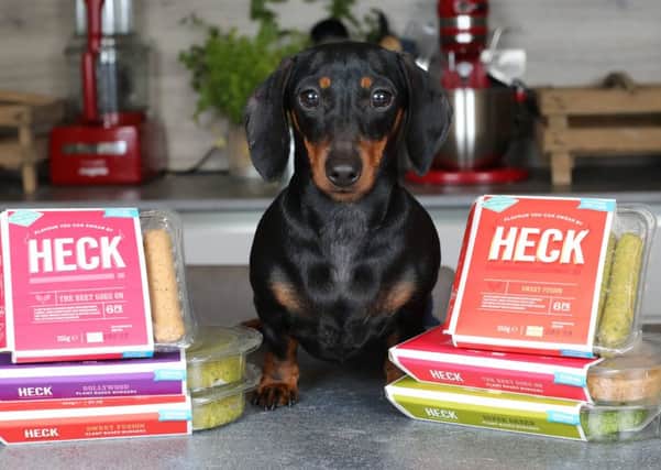© Glen Minikin - Honey the miniature sausage dog who loves vegan sausages. Olivia Moore 25 from Harrogate, and Honey one year old Miniature Dachshund who snaffles up Vegan sausages.