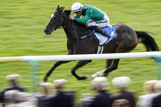 Limato, the mount of Harry Bentley, is one of the favourites for today's Duke of York Stakes.