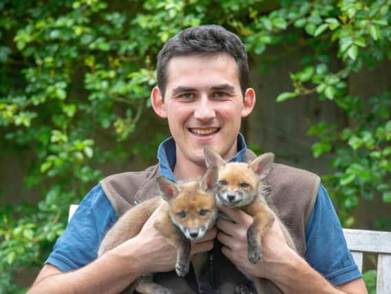 Chris Rolfe, 24 with the fox cubs he saved after having to perform a C section on a vixen that had died after being hit by a car (Photo: SWNS).