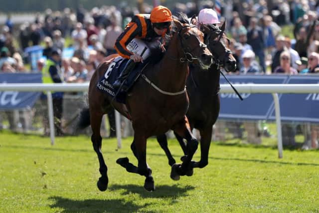 telecaster got the better of Too Darn Hot in a thrilling finish to the Dante Stakes.