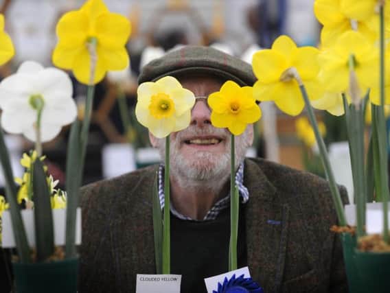 Harrogate Spring Flower Show. Flower Judge James Akers judges the Daffodils. PIC: Simon Hulme