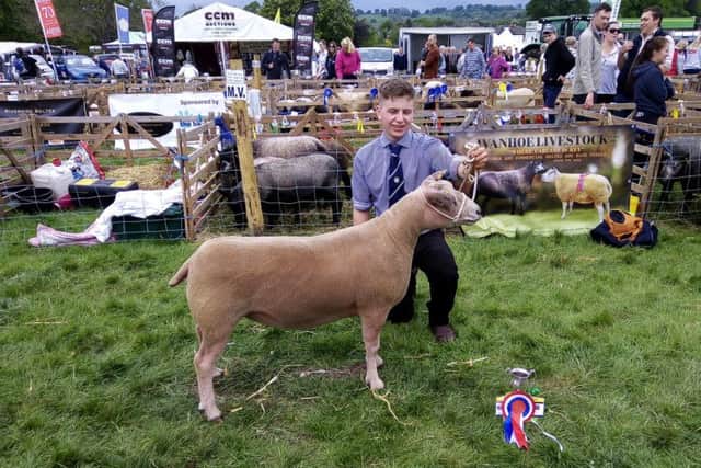 James Danforth and his British Charollais ewe took the Supreme Sheep Championship at the 2019 Otley Show. Picture by Ben Barnett.