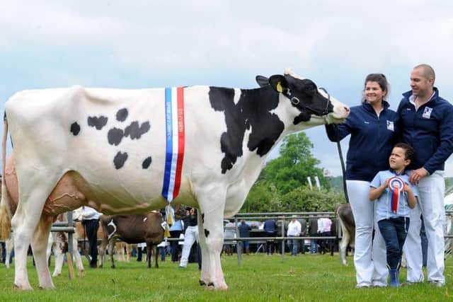 Otley Show's 2019 supreme dairy champion, a Holstein called Newbirks Blueblood 927 shown by Suzy Lawson, pictured with partner Wayne Stead and son Elijah Stead aged six. Picture by Simon Hulme.