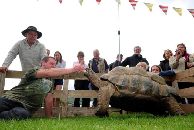 Adrian Graham feeds one of his giant Aldabra tortoises at Otley Show. Picture by Simon Hulme.
