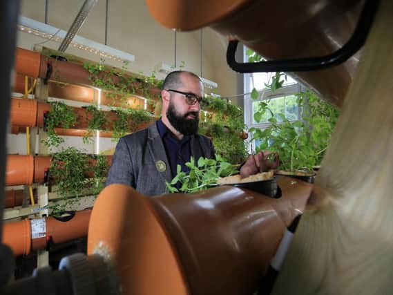 Jacob Nickles at the urban farm in Tinsley where scientists are using pioneering hydroponics techniques to grow food without soil. Picture by Chris Etchells.