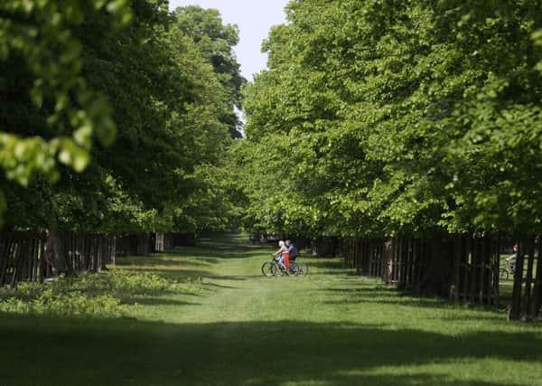 Thousands of people in Yorkshire live a ten minute walk away from a park or green space. Photo: Steve Parsons/PA Wire