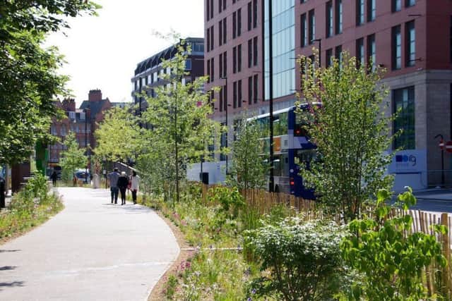 The Grey to Green scheme in Sheffield involving the planting of wild flowers, trees and shrubs, was backed by European funding.