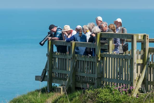 Date: 14th May 2019.
Picture James Hardisty.
RSBP Bempton Cliffs, near Bridlington, which is home to around half a million seabirds between March and October all rasing a family on towering chalk cliffs overlooking the North Sea.