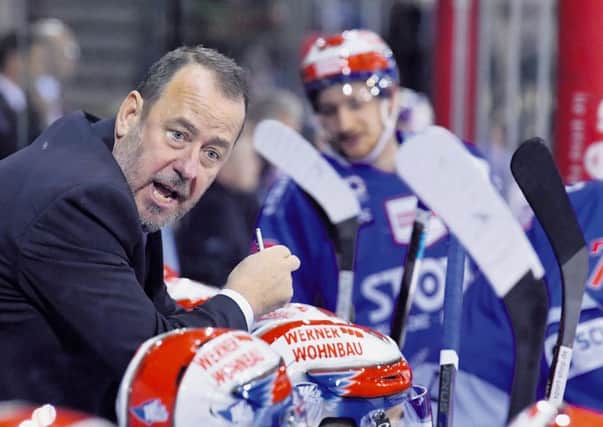 Paul Thompson gets his message across on the Schwenninger Wild Wings bench against Red Bull Munich. Picture courtesy of Wild Wings Media.