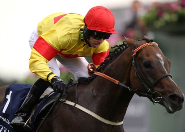 Nunthorpe Stakes hero Alpha Delphini is on track for Royal Ascot, says trainer Bryan Smart.