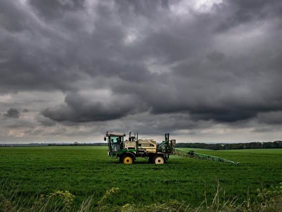 UK farmers have lost more than half of all active substances approved for use in the European Union since 2001. Picture by James Hardisty.