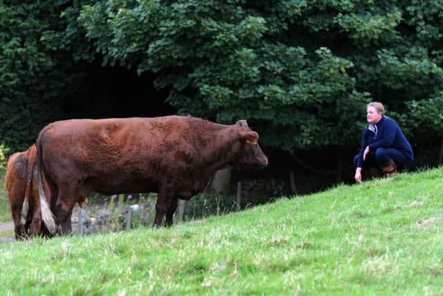 NFU West Riding county chairman Rachel Hallos, who farms in Ripponden, said farmers in the low risk area have a duty of care to each other to keep bovine TB out. Picture by Steve Riding.