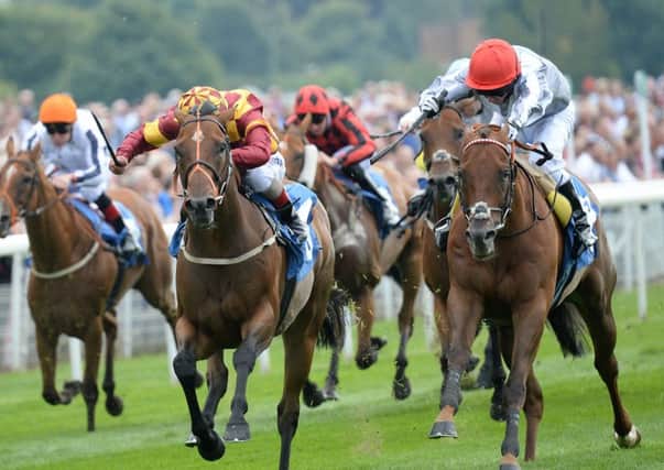 The David Griffiths-trained Duke of Firenze, pictured (right) in action at York, lines up at Epsom today on Derby day.