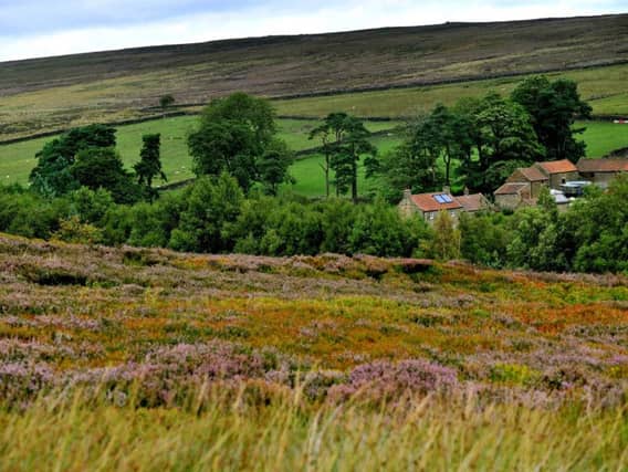 Over the next 25 years, the Woodland Trust and Community Forest Trust aim to plant more than 50 million trees to connect community forests in the North and farmland is considered "integral" in achieving that vision. Picture by Gary Longbottom.