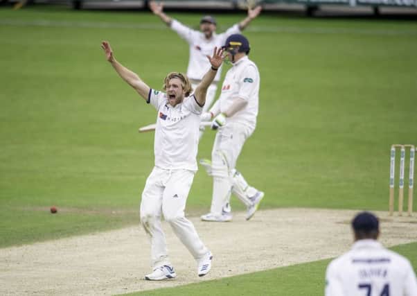 Yorkshire's David Willey appeals.