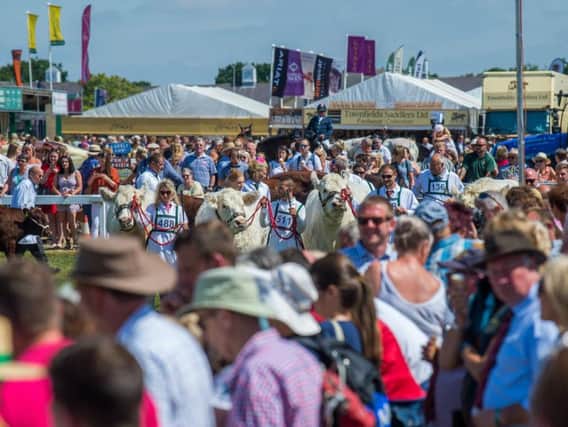 A two-part series The Great Yorkshire Show Show will feature stories from the annual agricultural showpiece in Harrogate this year. Picture by James Hardisty.