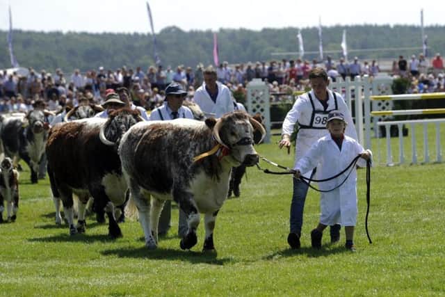 It costs the Yorkshire Agricultural Society 3.4m to stage the show each year. Picture by Simon Hulme.