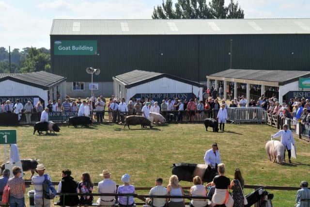 This year's Great Yorkshire show will take place between Tuesday, July 9 and Thursday, July 11. Picture by Gary Longbottom.