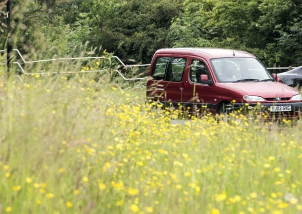 When is the best time to cut grass verges?